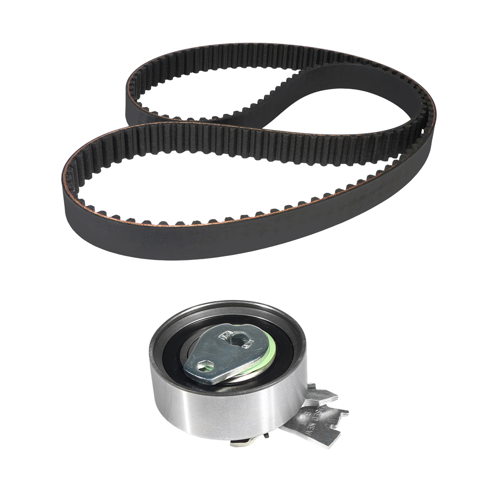 KIT POLEA TENSORA Y BANDA 1502