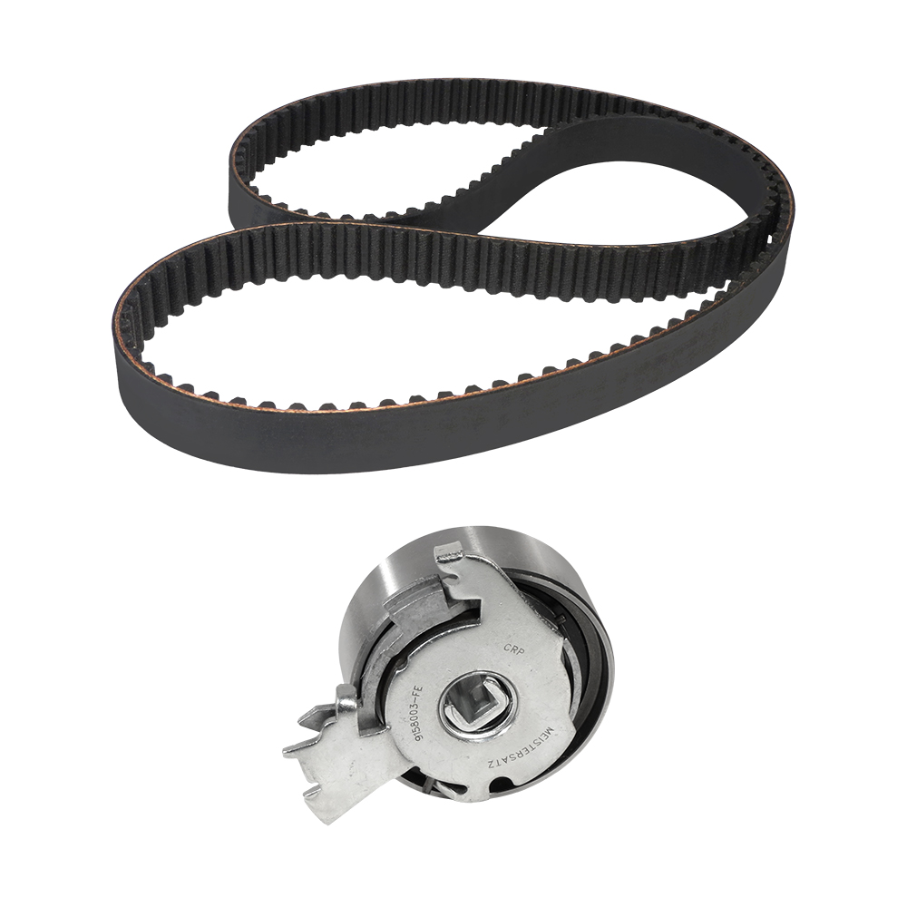 KIT POLEA TENSORA Y BANDA 1502 - Image 2