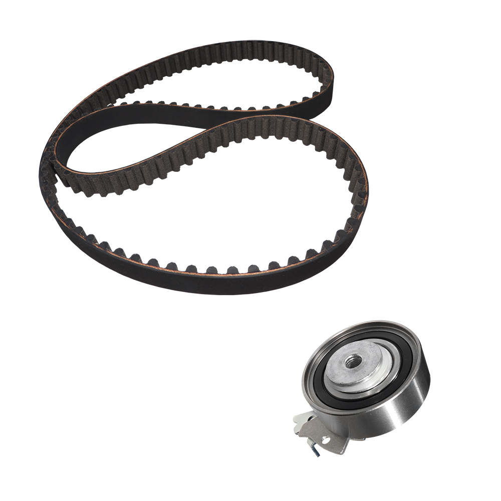 KIT POLEA TENSORA Y BANDA 203 - Image 2