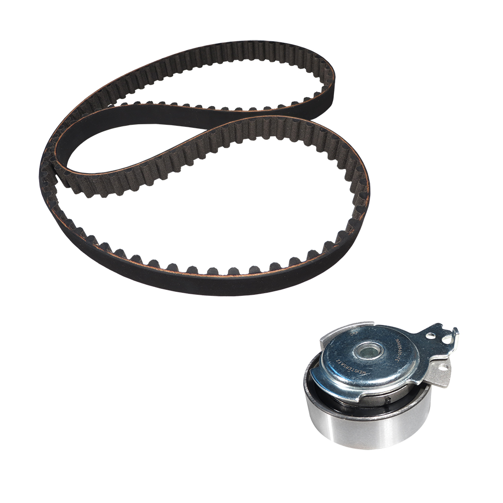 KIT POLEA TENSORA Y BANDA 203 - Image 3