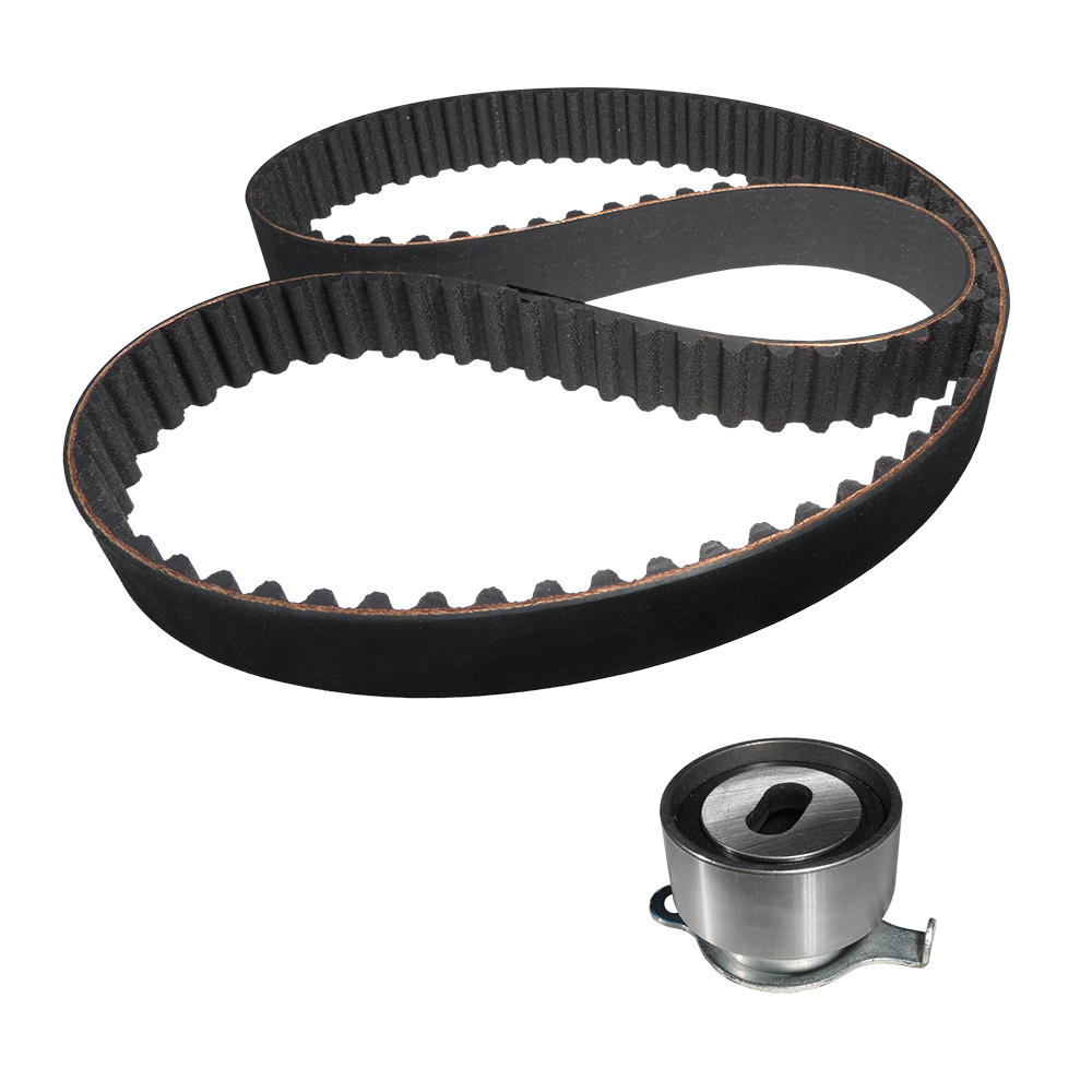 KIT POLEA TENSORA Y BANDA 223