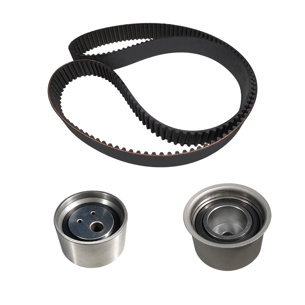 KIT POLEA TENSORA Y BANDA 259 - Image 2