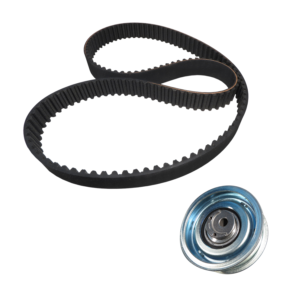 KIT POLEA TENSORA Y BANDA 296 - Image 3